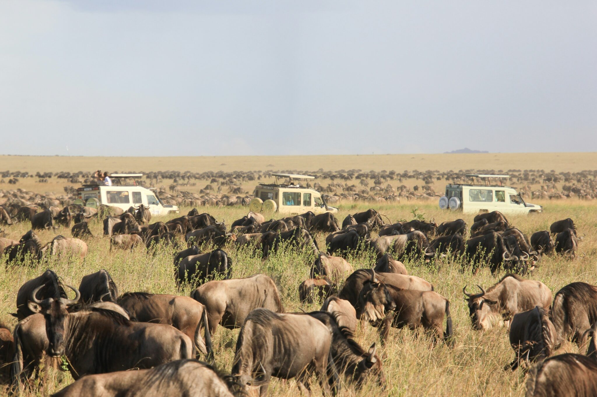 Serengeti Nationalpark