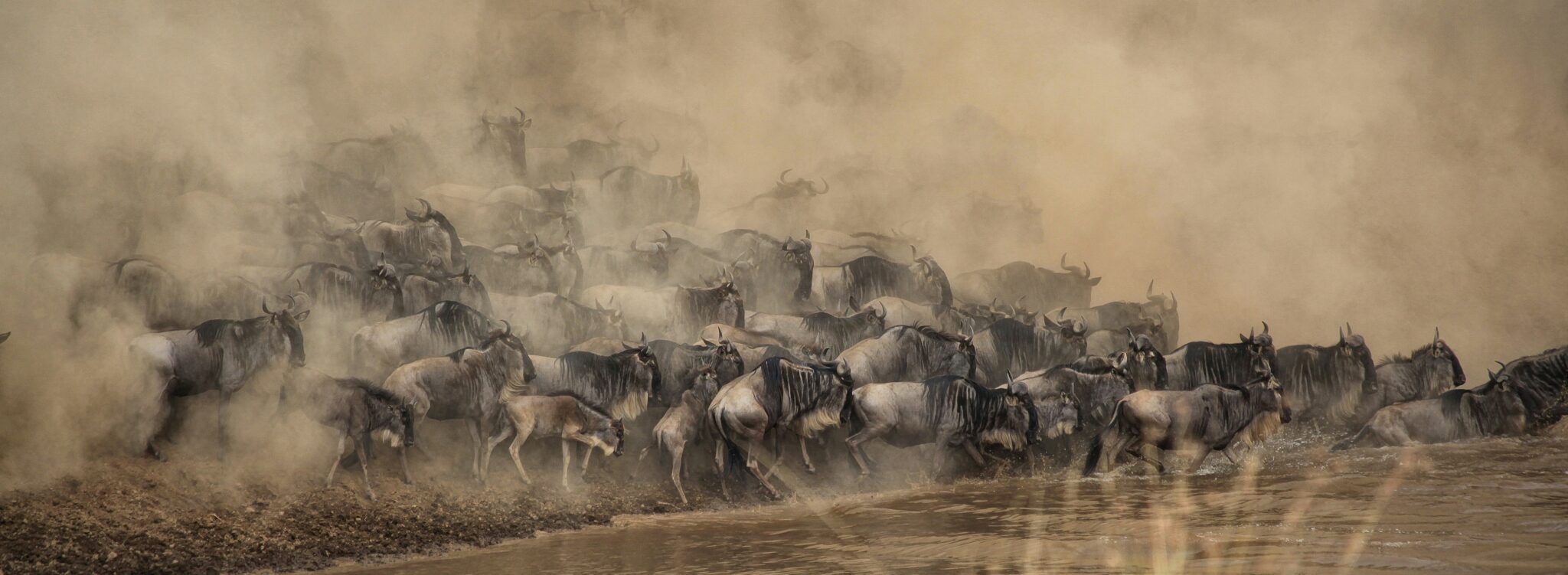 Escursioni in Kenya